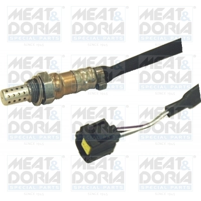 Oxygen Sensor
